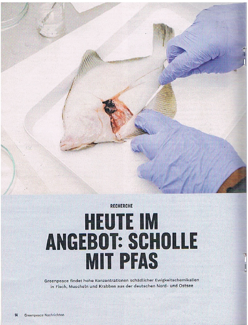 Heute%20im%20Angebot%20-%20Scholle%20mit%20PFAS-Greenpeace